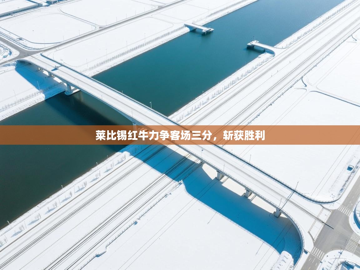 莱比锡红牛力争客场三分,斩获胜利 第2张