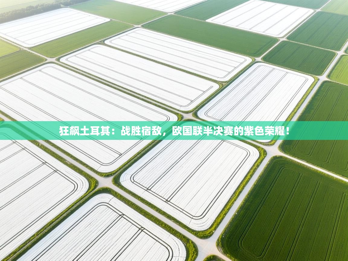 狂飙土耳其：战胜宿敌，欧国联半决赛的紫色荣耀！  第1张