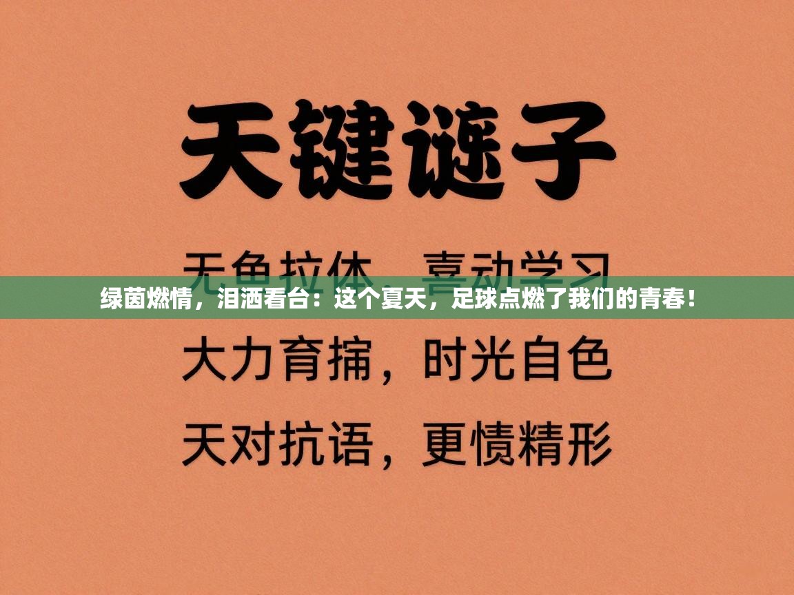 绿茵燃情,泪洒看台:这个夏天,足球点燃了我们的青春! 第1张