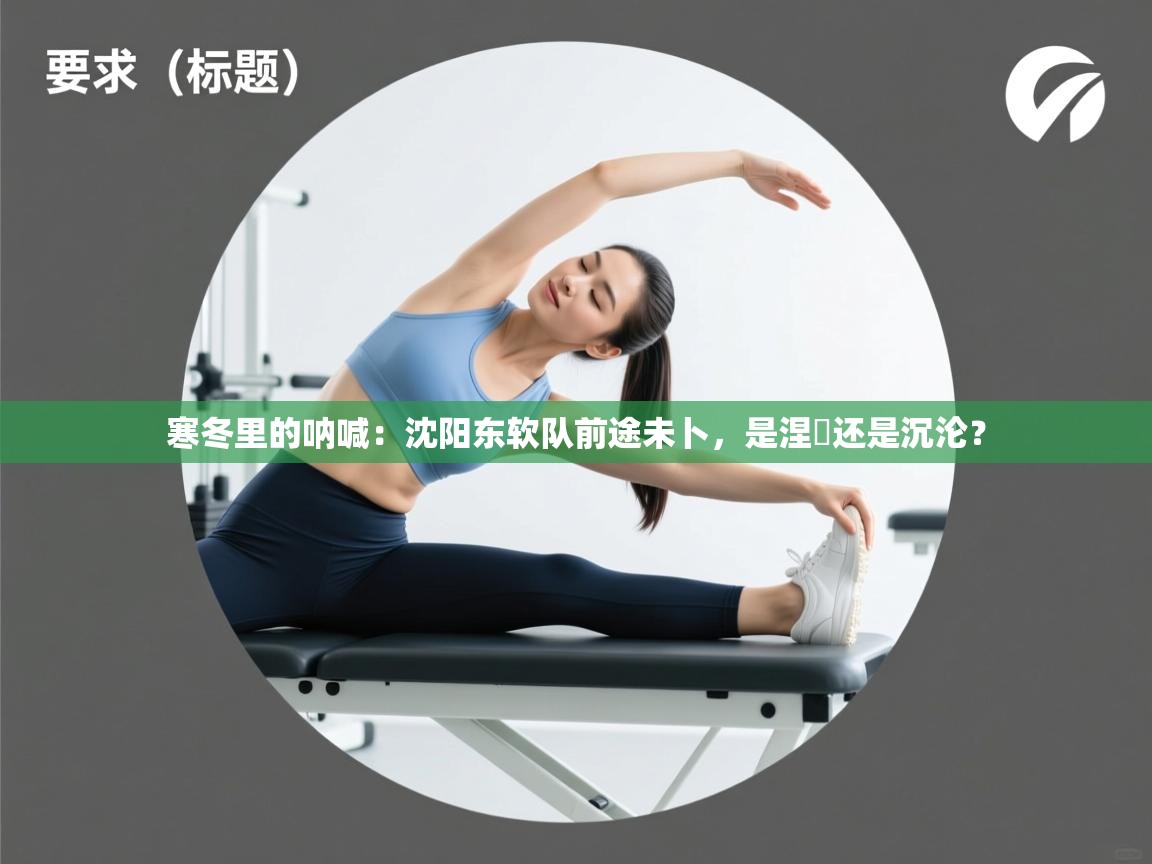 寒冬里的呐喊:沈阳东软队前途未卜,是涅槃还是沉沦? 第2张