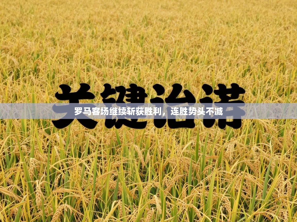 罗马客场继续斩获胜利,连胜势头不减 第2张